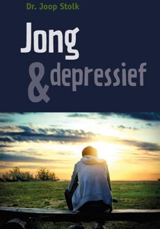 Banier BV, Uitgeverij De Jong & depressief - eBook Dr. Joop Stolk (9402905626)