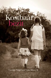 Banier BV, Uitgeverij De Kostbaar bezit - eBook Geesje Vogelaar- van Mourik (9033607190)