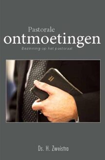 Banier BV, Uitgeverij De Pastorale ontmoetingen - eBook H. Zweistra (9462783861)