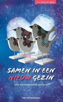 Banier BV, Uitgeverij De Samen in een nieuw gezin - eBook Erik-Jan Verbruggen (9462780889)