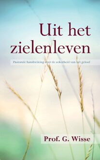 Banier BV, Uitgeverij De Uit het zielenleven - eBook G. Wisse (9033605856)