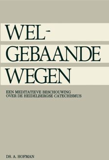Banier BV, Uitgeverij De Welgebaande wegen - A. Hofman - ebook