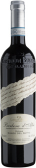 Barbera d'Alba Campo del Gatto 75CL