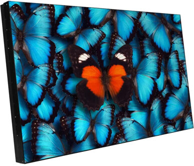 Barco Overview LVD5521B Public Display