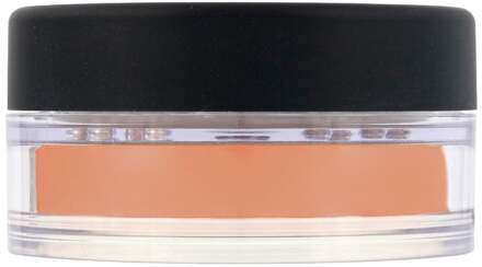 Bareminerals Tinted Mineral Veil Finishing Powder (9g)