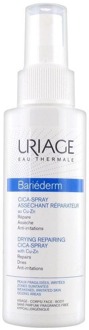 Bariéderm Cica-Spray Assechant Reparateur