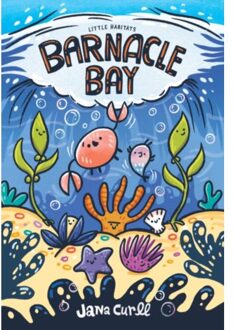 Barnacle Bay - Little Habitats - Jana Curll