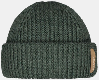 Barts Alexon Beanie Groen - One size