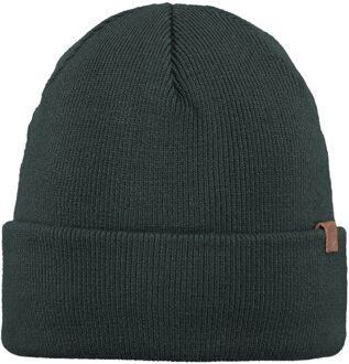 Barts Willes Beanie Heren groen - 1 SIZE
