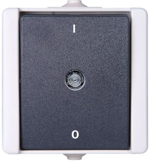 Baseline 2-poligeschakelaar Ip44 Grijs