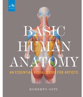 Basic Human Anatomy