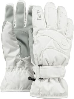 Basic Skigloves Wintersporthandschoenen Unisex - Maat L