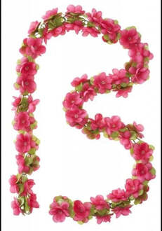 Basil Bloemenstreng Basil Fuchsia