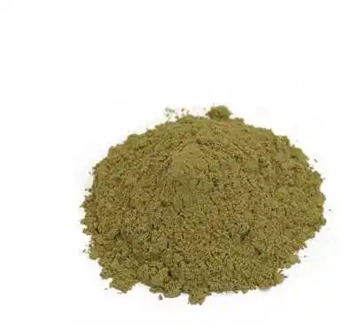 Basil Powder