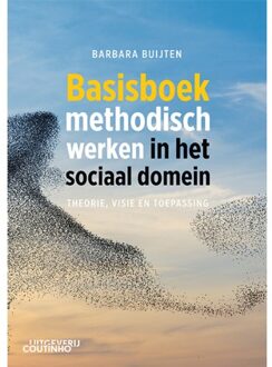 Basisboek Methodisch Werken In Het Sociaal Domein - Barbara Buijten