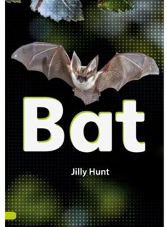 Bat (Set 02) - Striders Phonics Readers - Hunt, Jilly