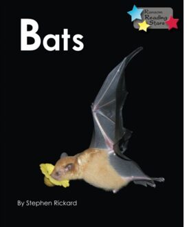 Bats - Reading Stars - Rickard Stephen