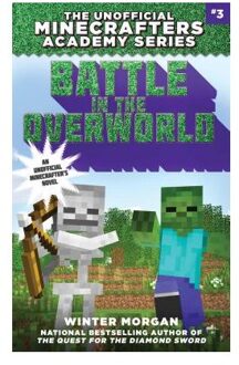 Battle in the Overworld