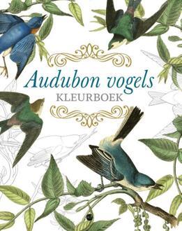 BBNC Uitgevers Audubon Vogels Kleurboek - John James Audubon