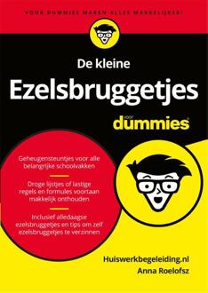BBNC Uitgevers De kleine ezelsbruggetjes voor Dummies - Boek Huiswerkbegeleiding.nl (904535148X)