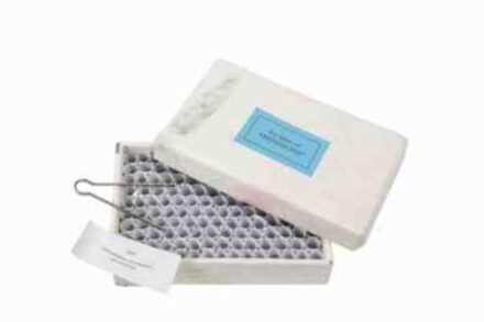 BBNC Uitgevers Een doosje vol vriendschap - Boek Willem Voet (9045311607)