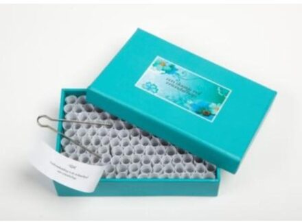 BBNC Uitgevers Een doosje vol vriendschap (kleur) - Boek Willem Voet (9045310104)