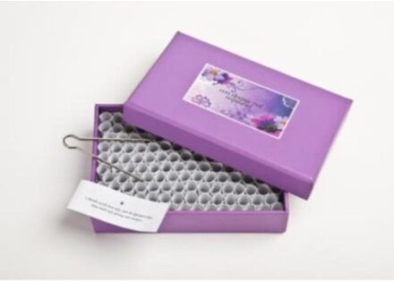 BBNC Uitgevers Een doosje vol wijsheid (kleur) - Boek Willem Voet (9045310112)