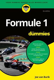 BBNC Uitgevers Formule 1 Voor Dummies - Voor Dummies - Joe van Burik