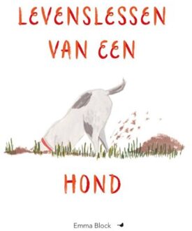 BBNC Uitgevers Levenslessen Van Een Hond