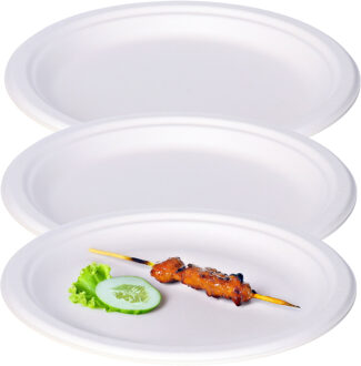 BBQ/Verjaardag feest bordjes - 16x - 1-vaks - wit - D23 cm - suikerrietpulp - composteerbaar