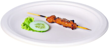 BBQ/Verjaardag feest bordjes - 8x - 1-vaks - wit - D23 cm - suikerrietpulp - composteerbaar