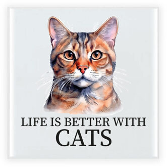 BD Cadeau tegel kattenliefhebber - Burmees kat/poes - 15 cm