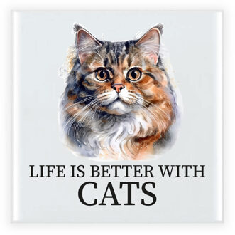 BD Cadeau tegel kattenliefhebber - Perzische Kat kat/poes - 15 cm