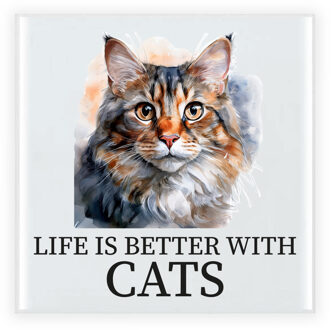 BD Cadeau tegel kattenliefhebber - Ragdoll kat/poes - 15 cm