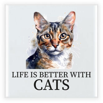 BD Cadeau tegel kattenliefhebber - Siamees kat/poes - 15 cm