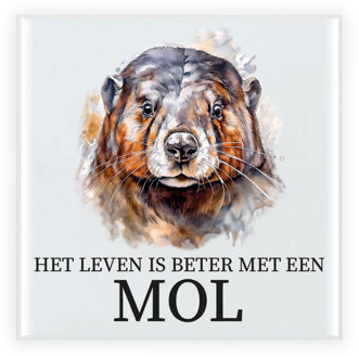 BD Cadeau tegel voor de familie Mol - het leven is beter met een Mol
