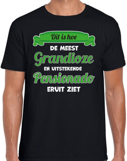 BD Cadeau/verkleed T-shirt heren - Pensioen - leukste collega M