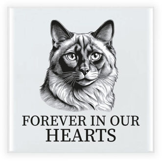 BD Herdenking tegel kattenliefhebber - Balinees kat/poes - 15 cm