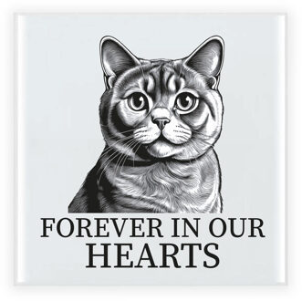 BD Herdenking tegel kattenliefhebber - Britse Korthaar - 15 cm