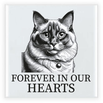 BD Herdenking tegel kattenliefhebber - Ragdoll - kat/poes -15 cm