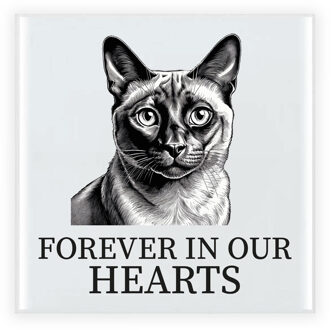 BD Herdenking tegel kattenliefhebber - Siamees - kat/poes -15 cm