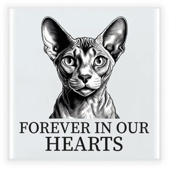 BD Herdenking tegel kattenliefhebber - Sphynx - kat/poes -15 cm