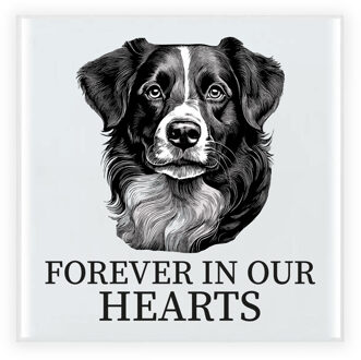 BD Herdenkings cadeau tegel - hondenliefhebber - Border Collie hond