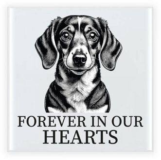 BD Herdenkings cadeau tegel - hondenliefhebber - Teckel hond - 15 cm