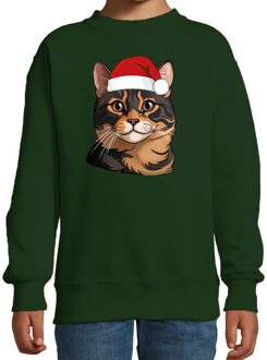 BD Kersttrui / sweater katten - kinderen - bruine kat/poes - groen 12-13 jaar (152/164)