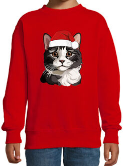 BD Kersttrui / sweater katten - kinderen - grijze kat/poes - rood 14-15 jaar (170/176)