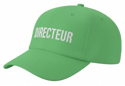 BD Verkleed petje - Directeur - groen - volwassenen - baseball cap