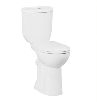 BD310 Staande Closet Voor Mindervaliden P-Trap Met Sproeier (Bidet) Wit