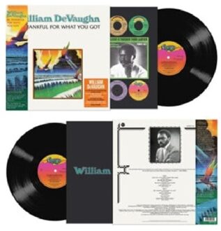 Be Thankful For What You Got - William Devaughn