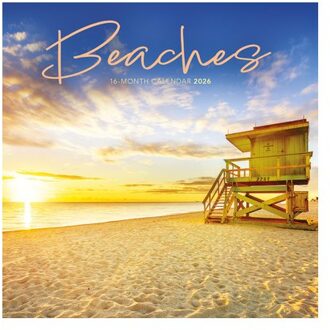 Beaches Square Mini Sunday Start Calenda - Carousel Worldwide